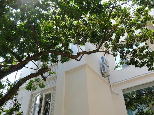 Le Petit Hanoi Dış mekan fotoğraf